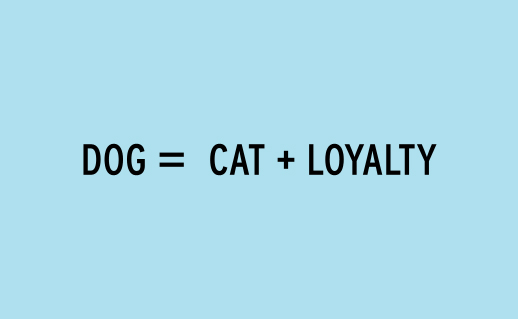 dog Dog