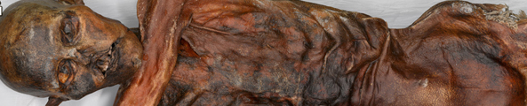 Iceman Photoscan