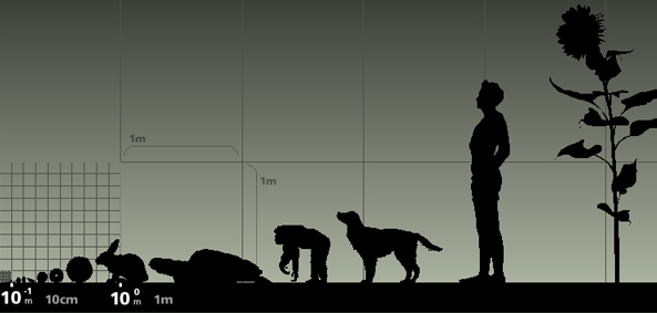 universcale universcale