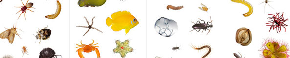 one-cubic-foot one-cubic-foot