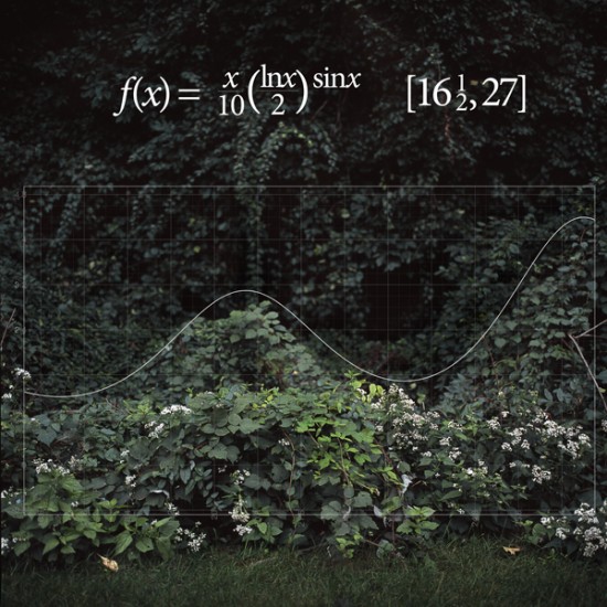 buisson “Found Functions”